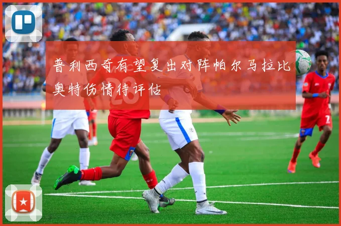 普利西奇有望复出对阵帕尔马拉比奥特伤情待评估