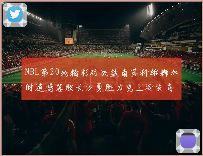 NBL第20轮精彩对决盐南苏科雄狮加时遗憾落败长沙勇胜力克上海玄鸟