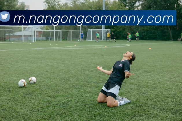 南宫体育平台生态图