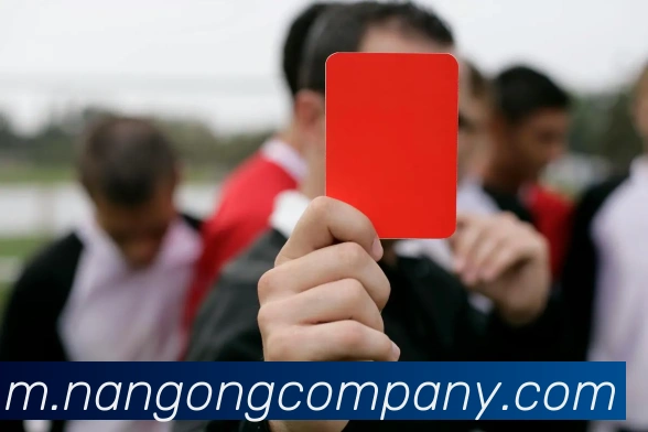 南宫体育全站App